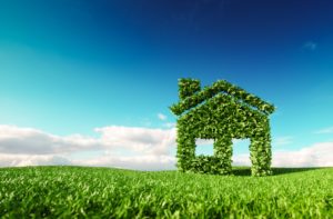 make your home more eco friendly