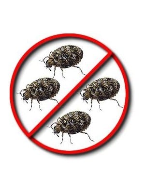 Crawling Insects Killer | Pest Control