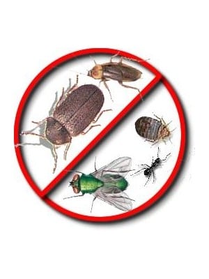 Insecticide & Insect Killer | Pest Control