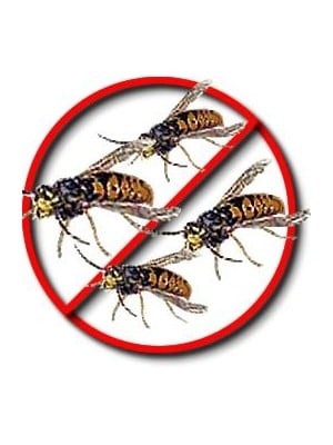 Flying Insect Killer | Pest Control