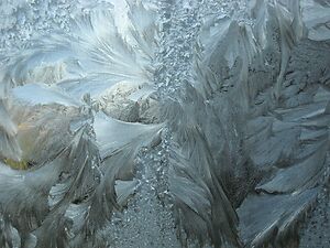 frost window