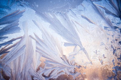 frosty glass window