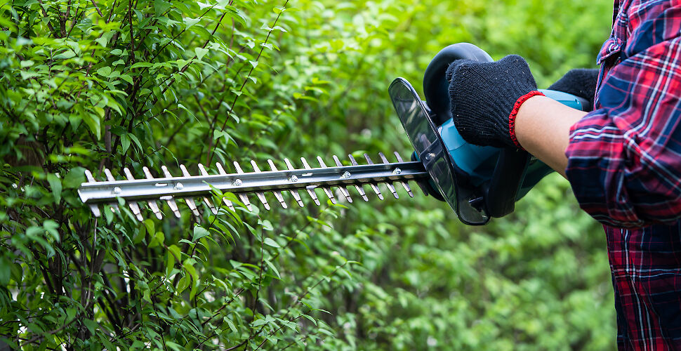 How to Safely Use Your Hand Held Hedge Trimmer
