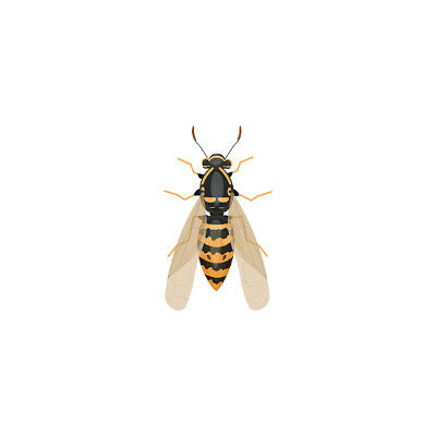 bigstock-Wasp-Insect-Bumble-Bee-Top-Vi-400400redit.jpg