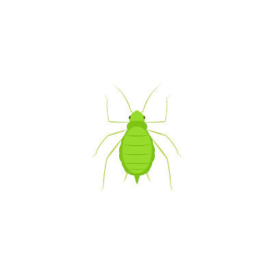 bigstock-Aphid-icon--Lawn-Pest-Control-400400.jpg