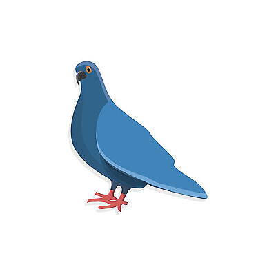 pigeon.jpg