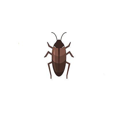cockroach better.jpg