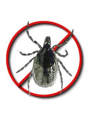 Tick Control | Tick Treatment | Pest Control