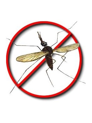 Mosquitoes | Pest Control