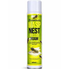 wasp 1.png