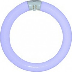Wemlite 22 Watt Circline Replacement Bulb - Blue 368nm