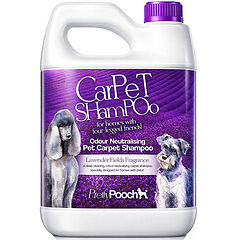 5L Pretty Pooch Carpet Shampoo x1 2000x2000.jpg