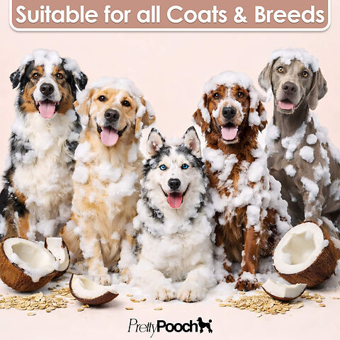 Pretty Pooch Toatally Oat Shampoo S5 (1).jpg
