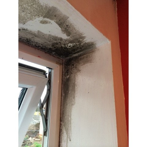 5L Household Mould & Mildew Killer and Remover with FREE 750ml Spray