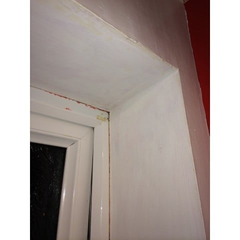 5L Household Mould & Mildew Killer and Remover with FREE 750ml Spray