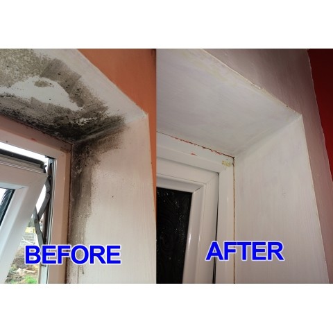5L Household Mould & Mildew Killer and Remover with FREE 750ml Spray