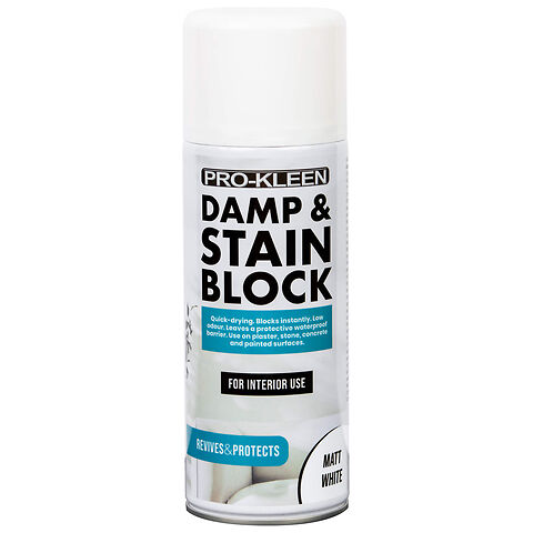 Damp and Stain 500ML Version - 1 Pack (1).jpg