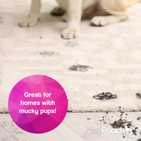 5L Pretty Pooch Carpet Shampoo