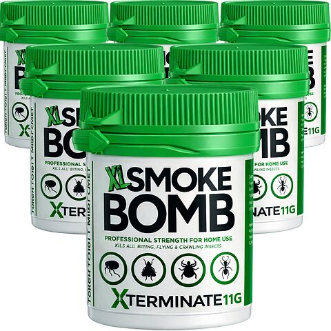11g fumer x 6.png