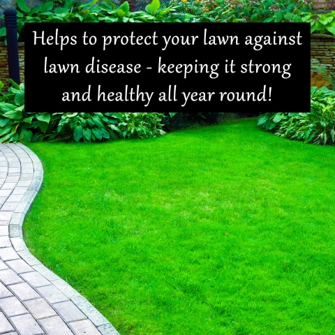 Homefront Iron Sulphate for Greener Grass 1/2.5KG
