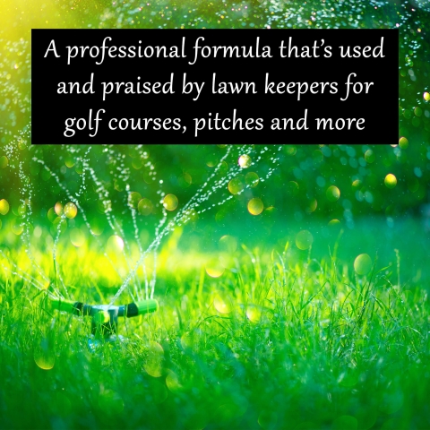 Homefront Iron Sulphate for Greener Grass 1/2.5KG