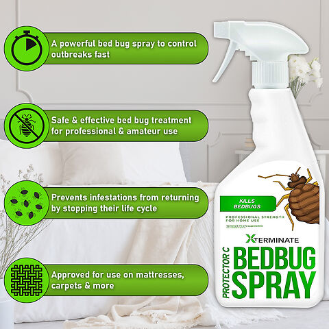 approved safe to use to control bed bugs