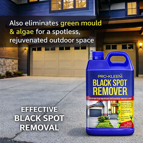 prokleen blackspot remover label altered 1.jpg