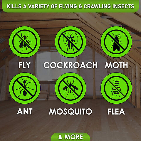 Kills a variety of Insects 