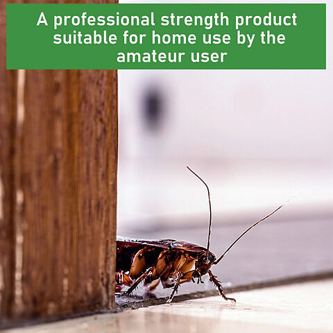 professional strength for home use