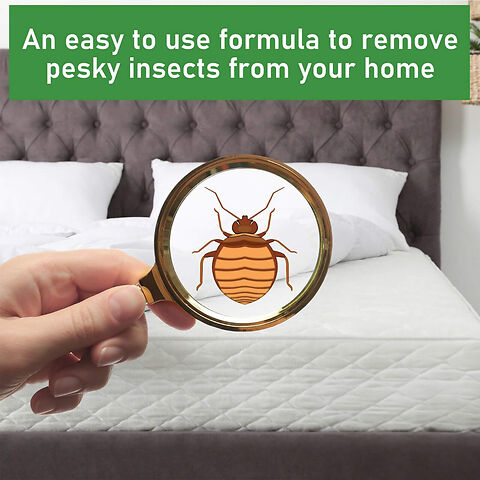 Easy To Use