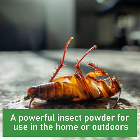 For indoor and outdoor use