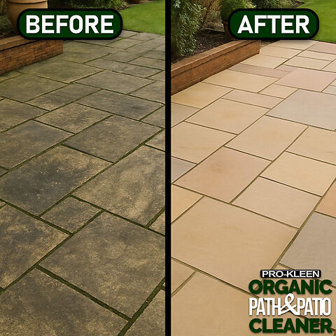 PROKLEEN ORGANIC PATIO S2.jpg