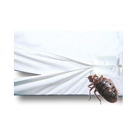 Protect-A-Bed® | AllerZip | Small Single Mattress Protector | 30