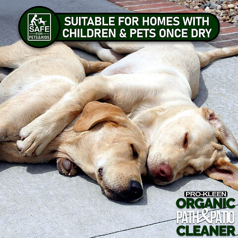 PROKLEEN ORGANIC PATIO S6.jpg