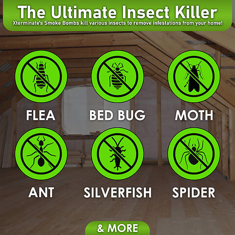  Insect Killing Fumer - fleas, moths, bedbugs
