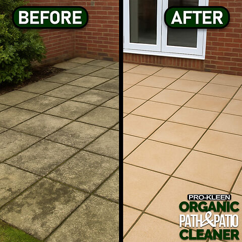 PROKLEEN ORGANIC PATIO S4.jpg