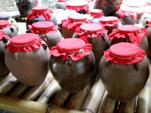 kombucha history