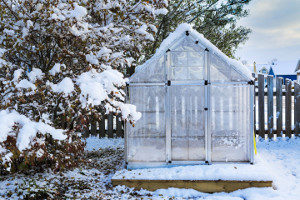 frosty greenhouse